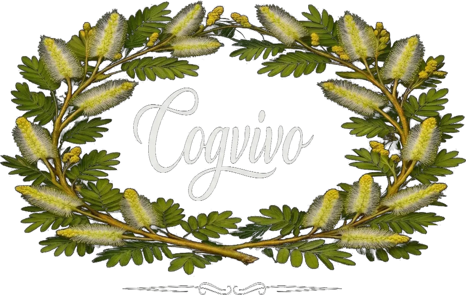 Cogvivo